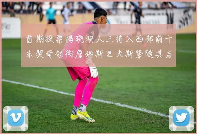 首期投票揭晓湖人三将入西部前十东契奇领衔詹姆斯里夫斯紧随其后