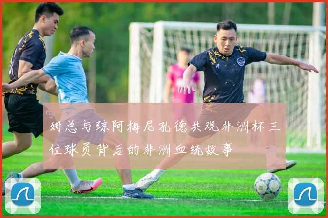 姆总与琼阿梅尼孔德共观非洲杯三位球员背后的非洲血统故事