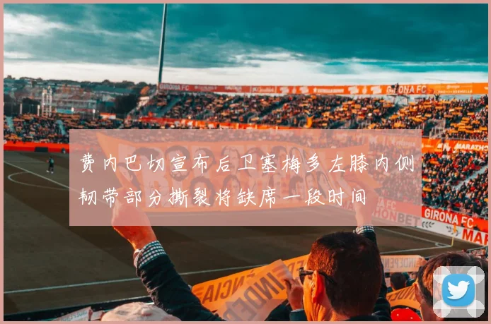 费内巴切宣布后卫塞梅多左膝内侧韧带部分撕裂将缺席一段时间