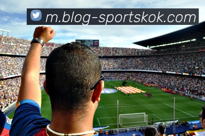 KOK体育APP 体育赛事宣传图